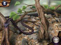 Cкриншот Discovery Kids Snake Safari, изображение № 254252 - RAWG
