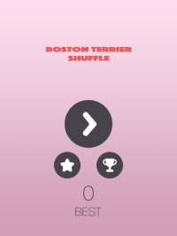 Cкриншот Boston Terrier Shuffle, изображение № 1743666 - RAWG