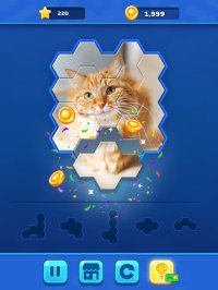 Cкриншот Hexa Jigsaw Challenge, изображение № 2644364 - RAWG