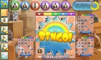 Cкриншот Bingo Cats, изображение № 1474000 - RAWG