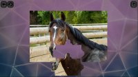 Cкриншот Puzzles for smart: Horses, изображение № 1703051 - RAWG
