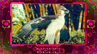 Cкриншот Twizzle Puzzle: Birds, изображение № 3669807 - RAWG