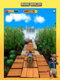 Cкриншот Peter Rabbit Run!, изображение № 2837122 - RAWG