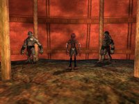 Cкриншот EverQuest: Depths of Darkhollow, изображение № 432549 - RAWG
