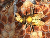 Cкриншот Bee Nest Simulator Full, изображение № 2174349 - RAWG