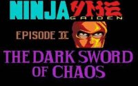 Cкриншот Ninja Gaiden II: The Dark Sword of Chaos (1990), изображение № 737122 - RAWG