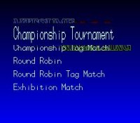 Cкриншот Natsume Championship Wrestling, изображение № 762248 - RAWG