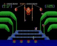 Cкриншот Donkey Kong 3, изображение № 822801 - RAWG