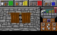 Cкриншот Dungeon Master 2: The Legend of Skullkeep, изображение № 327417 - RAWG