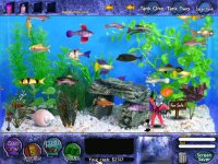 Cкриншот Fish Tycoon for Windows, изображение № 441525 - RAWG
