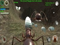 Cкриншот Ant Simulation 3D, изображение № 937442 - RAWG