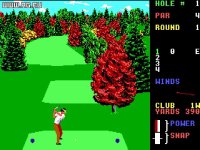 Cкриншот World Class Leader Board Golf, изображение № 337940 - RAWG