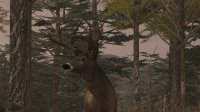 Cкриншот Deer Simulator, изображение № 329 - RAWG