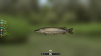 Cкриншот Trophy Fishing 2, изображение № 636646 - RAWG