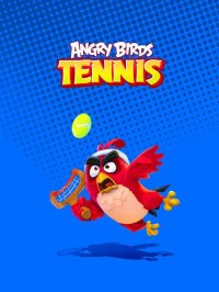 Cкриншот Angry Birds Tennis, изображение № 2293389 - RAWG
