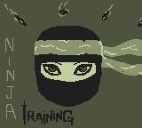 Cкриншот Ninja Training, изображение № 1103360 - RAWG