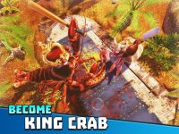Cкриншот King of Crabs, изображение № 1866185 - RAWG