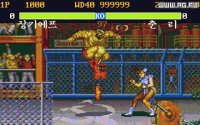 Cкриншот Street Fighter II: The World Warrior (1991), изображение № 309067 - RAWG