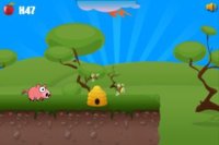 Cкриншот Pig Run Run, изображение № 923367 - RAWG