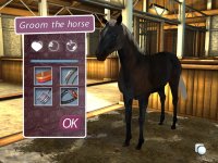 Cкриншот My Horse and Me 2, изображение № 497530 - RAWG