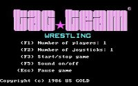 Cкриншот Tag Team Wrestling, изображение № 738144 - RAWG