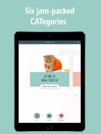 Cкриншот How Smart Is Your Cat? Fun Ways to Find Out!, изображение № 1729060 - RAWG