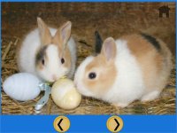 Cкриншот my favorite rabbits - free game, изображение № 1669916 - RAWG