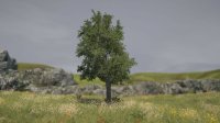 Cкриншот Tree Simulator 2022, изображение № 2800757 - RAWG
