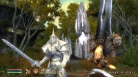 Cкриншот The Elder Scrolls 4: Shivering Isles, изображение № 470364 - RAWG