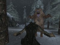 Cкриншот The Elder Scrolls 3: Bloodmoon, изображение № 361982 - RAWG