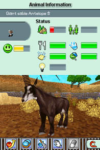Cкриншот Zoo Tycoon 2 DS, изображение № 249474 - RAWG