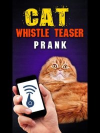 Cкриншот Cat Whistle Teaser Prank, изображение № 871361 - RAWG