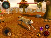 Cкриншот Wild Cheetah Simulator Game - Animals Survival 3d, изображение № 977655 - RAWG