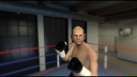 Cкриншот The Thrill of the Fight - VR Boxing, изображение № 96373 - RAWG