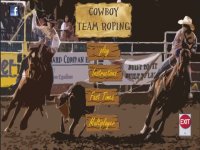 Cкриншот Cowboy Team Roping, изображение № 1635923 - RAWG