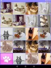 Cкриншот CUTE CATS Memory matching Game, изображение № 1502262 - RAWG