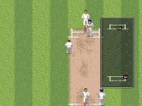 Cкриншот Brian Lara Cricket '96, изображение № 758601 - RAWG