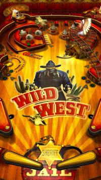 Cкриншот Wild West Pinball, изображение № 9324 - RAWG
