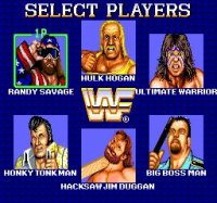 Cкриншот WWF Superstars, изображение № 752317 - RAWG