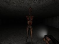 Cкриншот Escaping the Dark Horror 2, изображение № 620818 - RAWG
