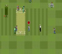 Cкриншот Super International Cricket, изображение № 762857 - RAWG