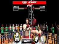 Cкриншот Real Wrestling Fighting, изображение № 1706030 - RAWG