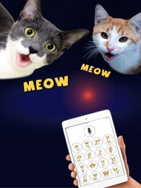 Cкриншот Cat Translator Deluxe, изображение № 878657 - RAWG