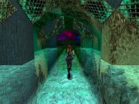 Cкриншот Tomb Raider 3: The Lost Artifact, изображение № 313841 - RAWG