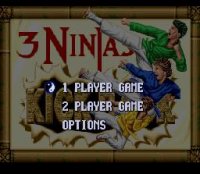Cкриншот 3 Ninjas Kick Back, изображение № 739460 - RAWG