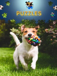 Cкриншот Dogs Jigsaw Puzzle Game. Premium, изображение № 1802271 - RAWG