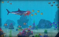 Cкриншот Shark Attack Wild Simulator, изображение № 1559692 - RAWG