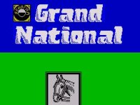 Cкриншот Grand National, изображение № 755270 - RAWG