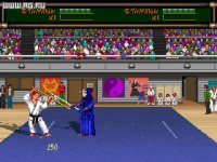 Cкриншот Budokan: The Martial Spirit, изображение № 314529 - RAWG