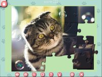 Cкриншот 1001 Jigsaw. Cute Cats, изображение № 3285617 - RAWG